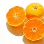 マツコの知らない世界のおいしいみかん