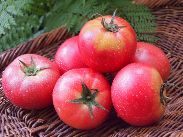 あさイチのトマトの甘酢漬けの作り方