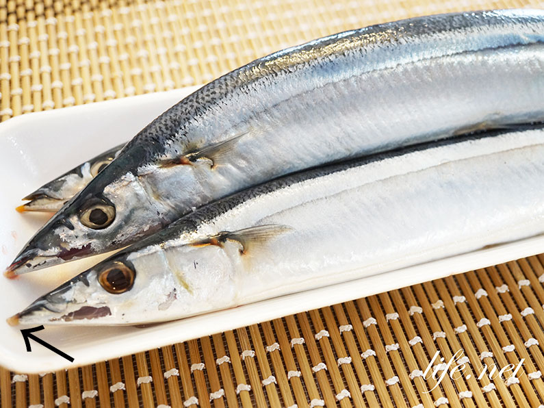 脂ののった新鮮な秋刀魚の見分け方。4つのポイントで選ぶだけ。