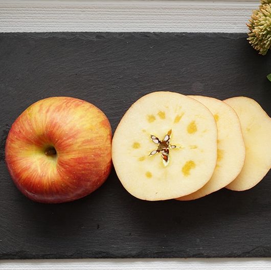 りんごは皮ごと輪切りで腸内環境改善 血管の健康維持に効果的 Life Net