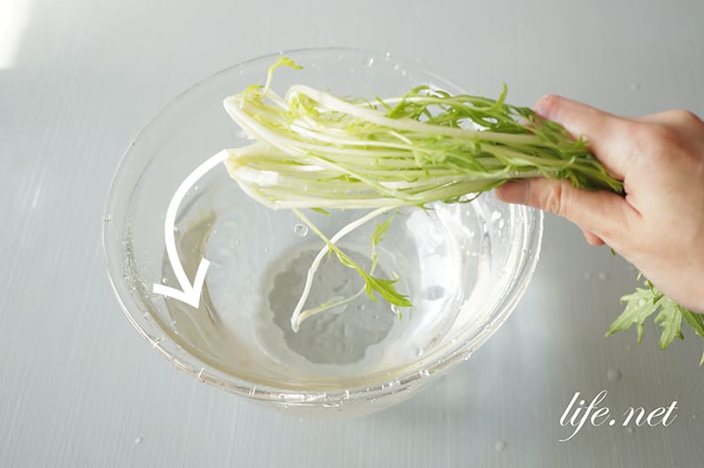 水菜の正しい洗い方。虫や汚れがしっかり取れる！