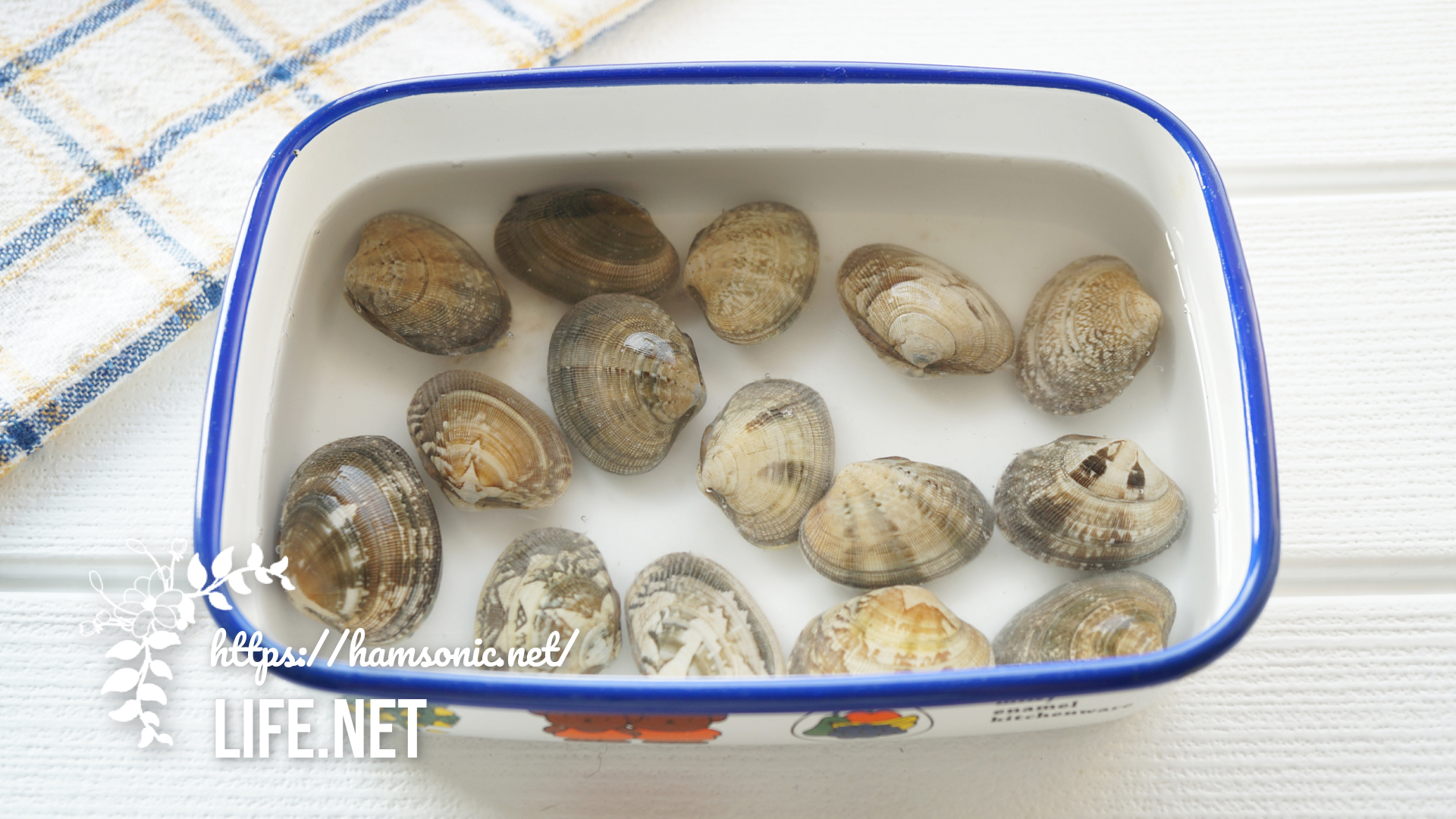 ガッテン あさり 片栗粉で砂抜きする方法 ふっくらジューシーに Life Net